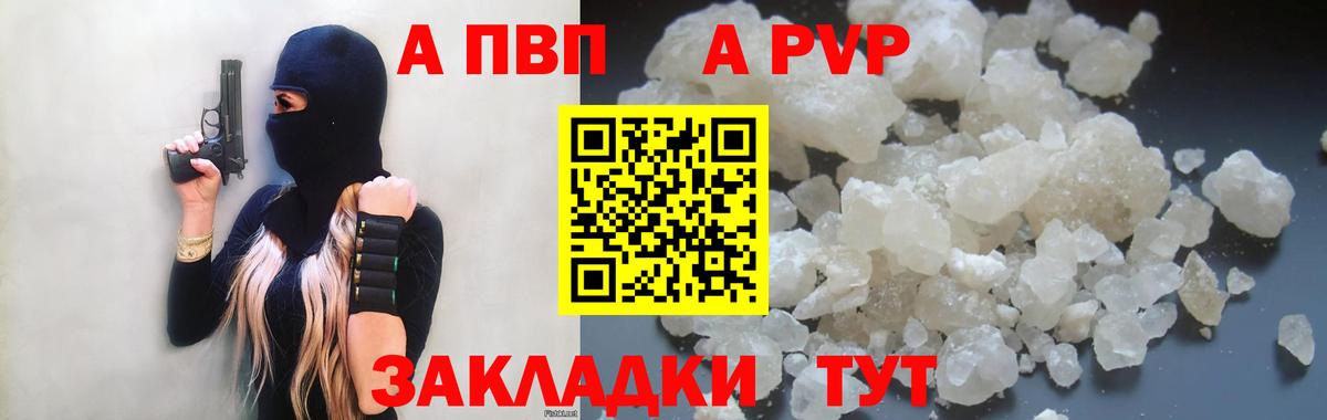 A-PVP СК Сальск