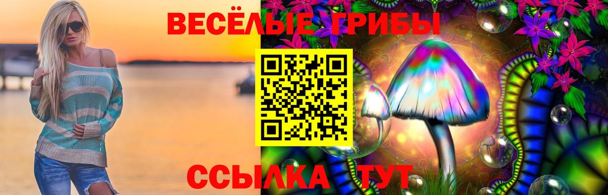 Галлюциногенные грибы ЛСД  Галлюциногенные грибы ЛСД  что такое наркотик  Вход с VPN  Сальск 
